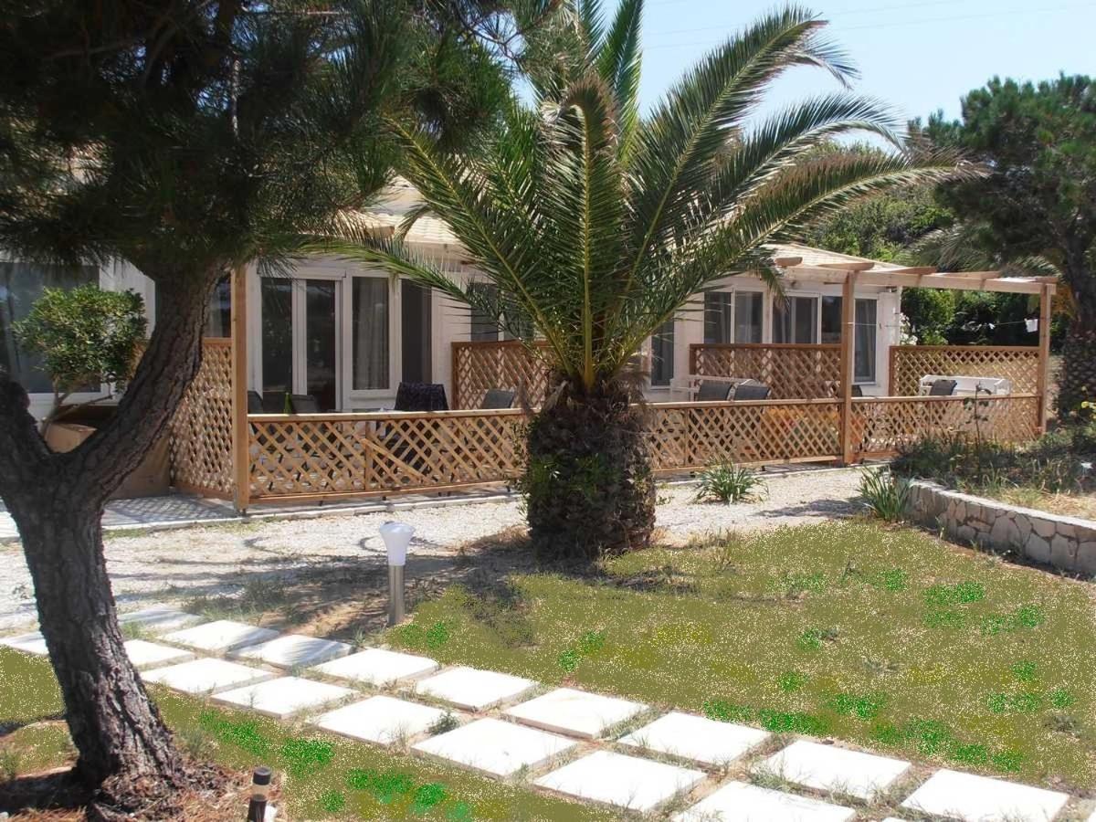 Elli Beach Apartments And Studios Almiros Beach المظهر الخارجي الصورة