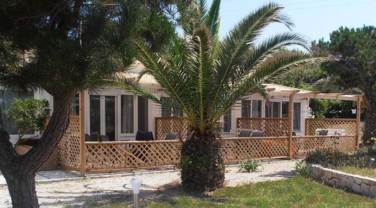 Elli Beach Apartments And Studios Almiros Beach المظهر الخارجي الصورة