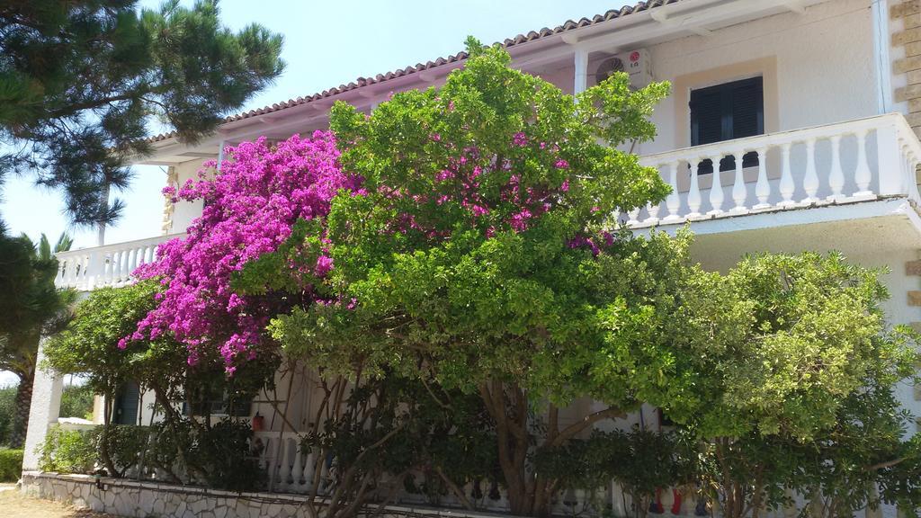 Elli Beach Apartments And Studios Almiros Beach المظهر الخارجي الصورة