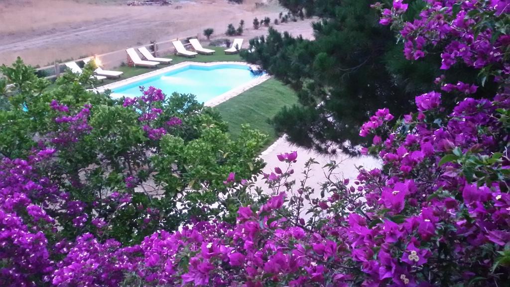 Elli Beach Apartments And Studios Almiros Beach الغرفة الصورة